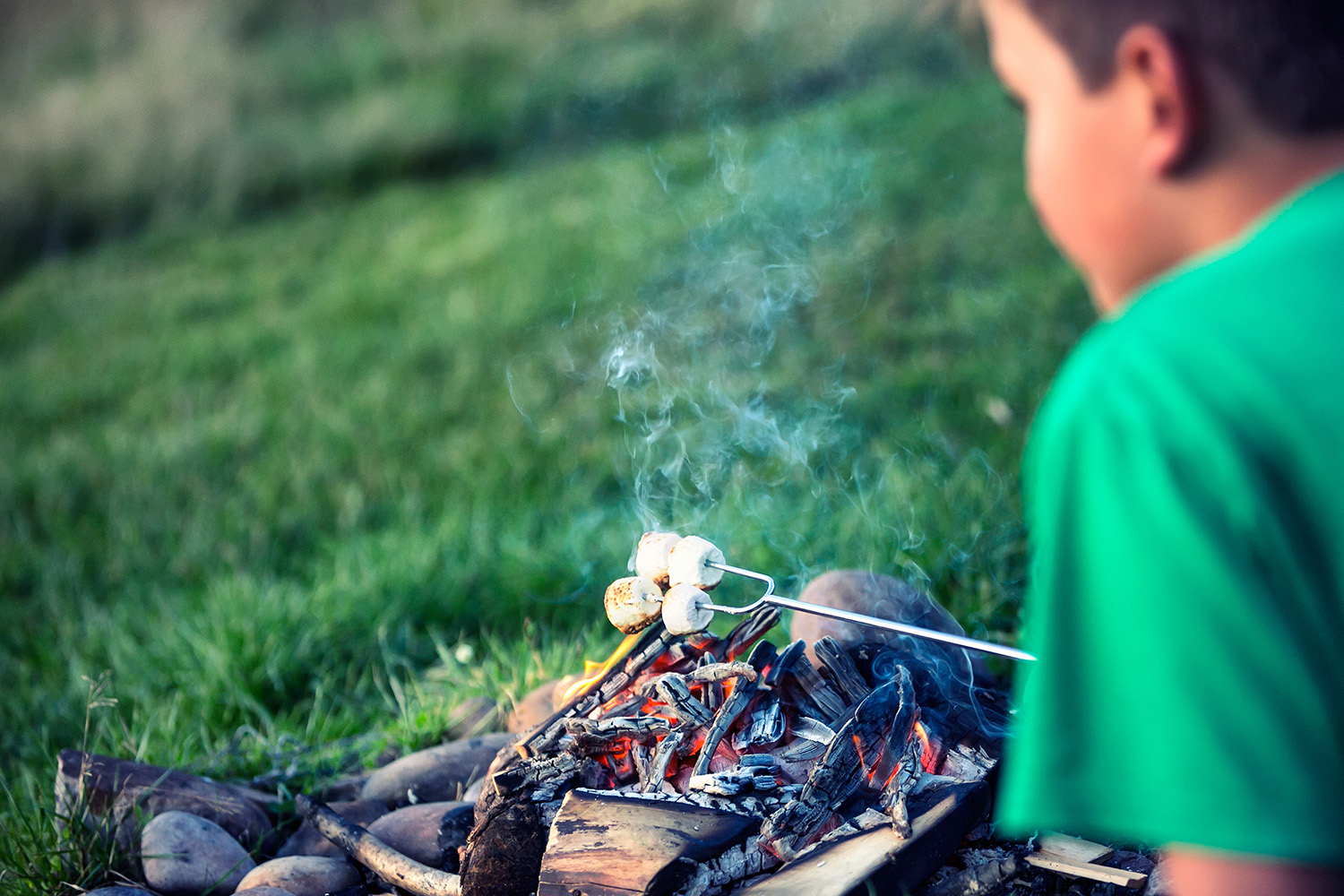 Boy toasting marshmallows over a fire