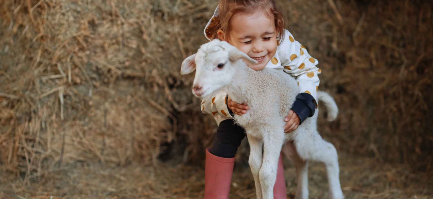 young girl embracing a lamb on a farm holiday