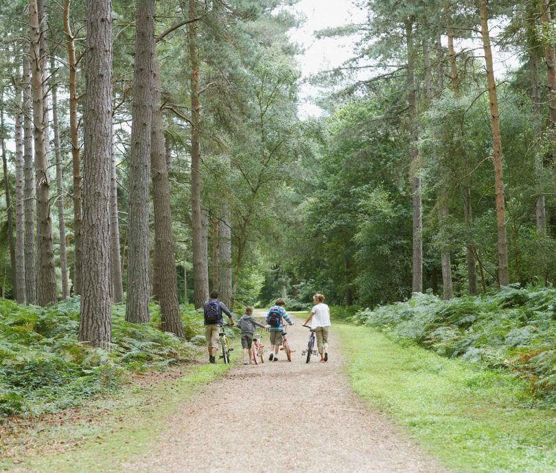 Family cycling in forest on holiday