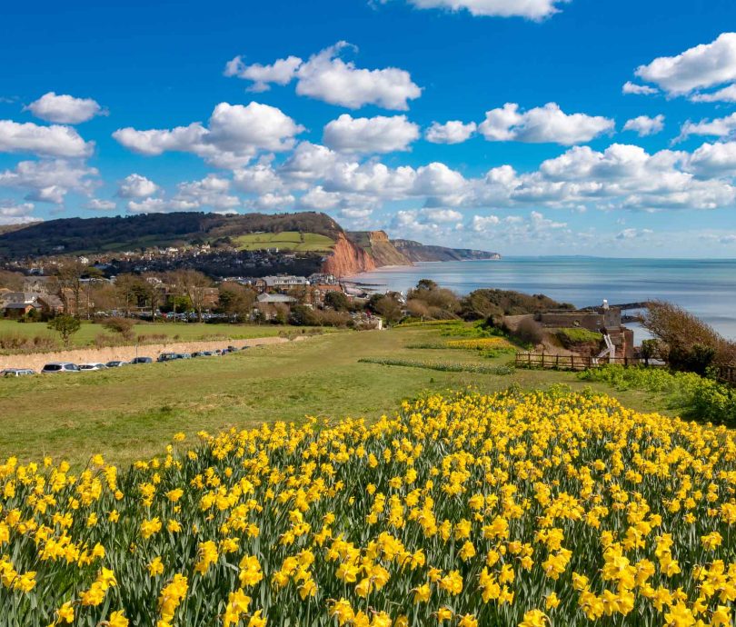 Sidmouth beach in Dorset